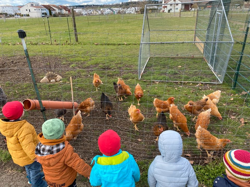 Kinderbetreuung in Rutesheim  