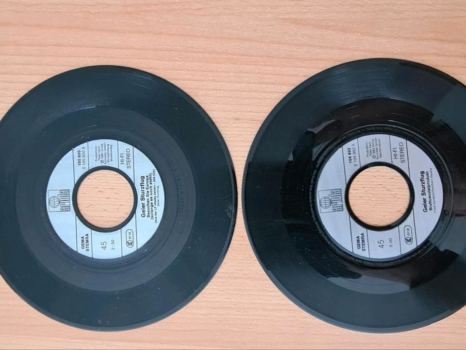 Schallplatten von Geier Sturzflug von  1982 /1983 in Zandt