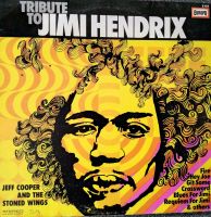 Tribute to JIMI HENDRIX, LP Bayern - Türkheim Vorschau