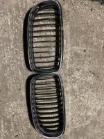 BMW E90 E91 Nieren Frontgrill Grill Original Niedersachsen - Apen Vorschau