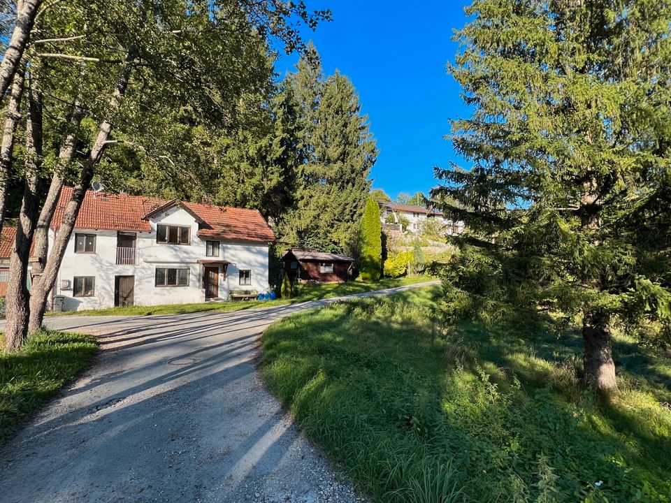 Traumhaftes Grundstück mit Altbestand am See in idyllischer Lage in Ebersberg