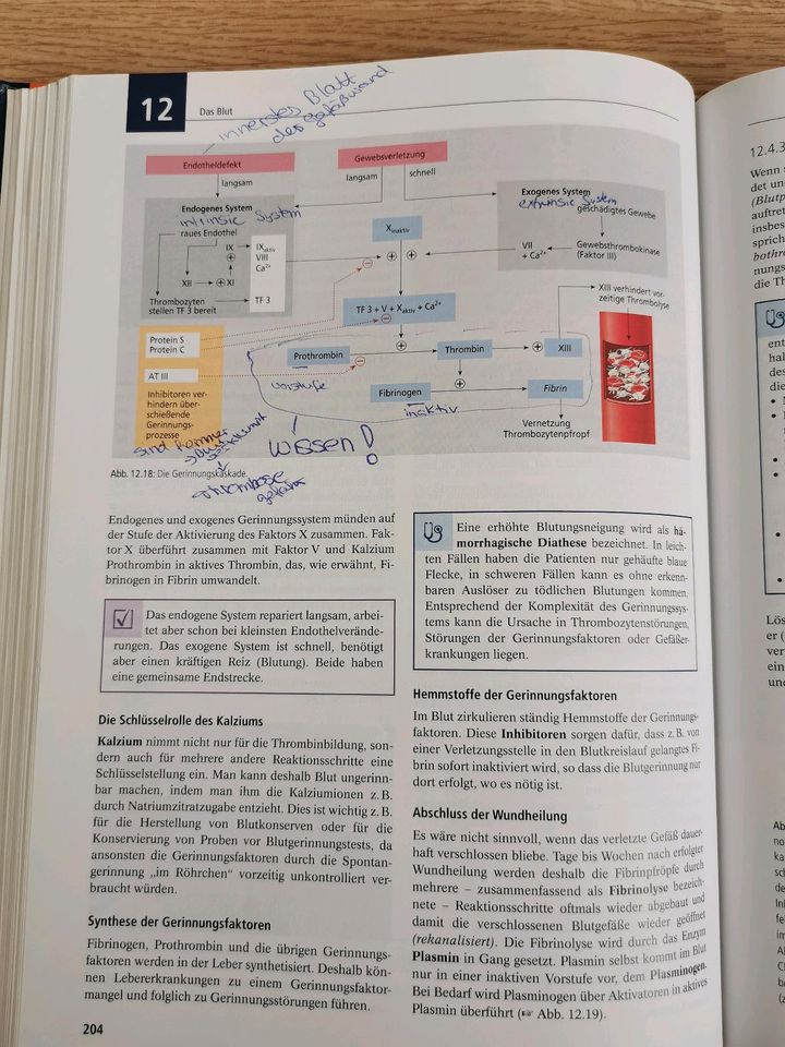 Biologie Anatomie Physiologie Buch in Minden