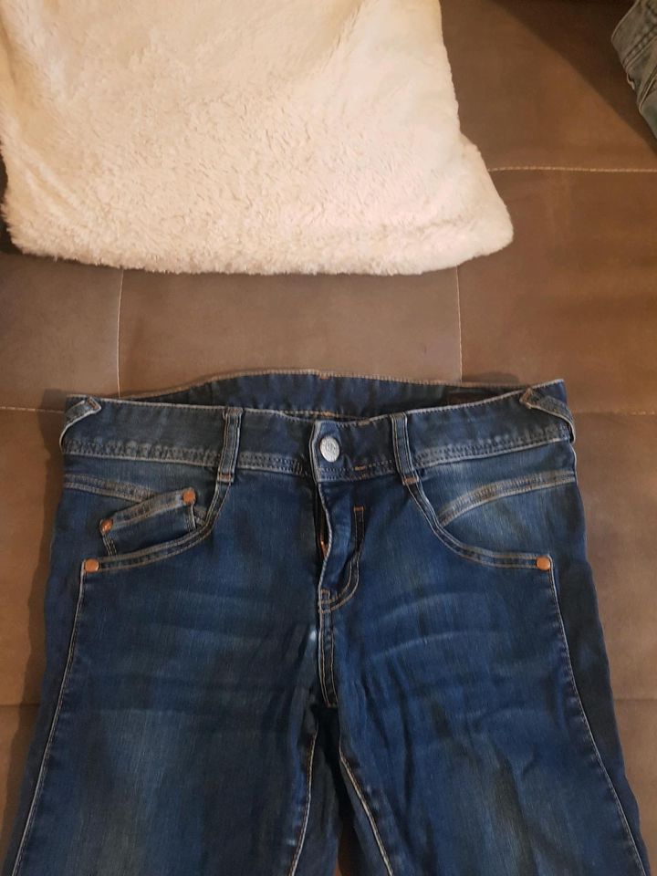 Herrlicher Jeans gila slim 28/30 guter Zustand in Bielefeld