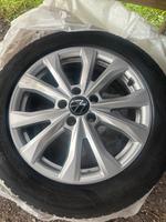 VW Winterkomplettradsatz (4 Stück) Barahona 17 Zoll Schleswig-Holstein - Hohenfelde Vorschau