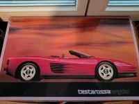 Fujimi Ferrari Testarossa/Testarossa Spyder 1:16 Rheinland-Pfalz - Zettingen Vorschau