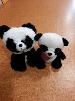 Panda Bären Nordrhein-Westfalen - Schloß Holte-Stukenbrock Vorschau