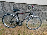 Herren Fahrrad Köln - Ehrenfeld Vorschau