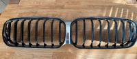 BMW 5er original  G30/31 LCI Facelift Grill/Niere/Fontmaske Bayern - Weilheim Vorschau