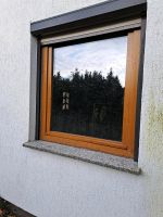 Fenster doppelverglasung Haus garten Sachsen-Anhalt - Lutherstadt Wittenberg Vorschau