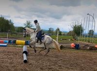 Freizeitpferd und Tunier Pferd von Jugendlichen geritten Hessen - Villmar Vorschau