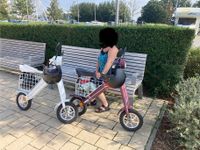 Lehe E-Scooter K1, Roller Rheinland-Pfalz - Jugenheim in Rheinhessen Vorschau