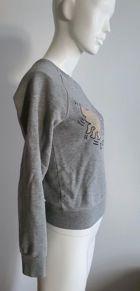 Dsquared2 Pullover Sweatshirt 3 Mäuse grau Gr. Xs 34 NP 200 in Düsseldorf