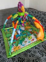 Spielmatte ! Fisher Price Rainforest Erlebnisdecke Sachsen-Anhalt - Zerbst (Anhalt) Vorschau