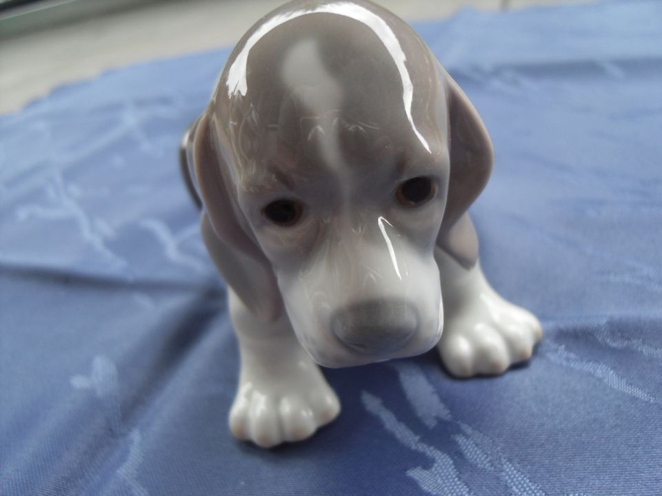 Lladro Porzellanfigur Hund, Puppy süßer sitzender Beagle in Essen