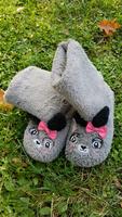 Hausschuhe Schuhe  H&M Gr. 36 37 Katze Winter Dresden - Pieschen Vorschau