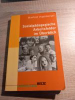 Buch Sozialpädagogische Arbeitsfelder im Überblick Saarland - Bous Vorschau