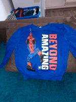 Spiderman Pullover abzugeben Kiel - Hasseldieksdamm Vorschau