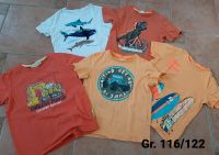 T-Shirts Gr. 116/122 Niedersachsen - Munster Vorschau