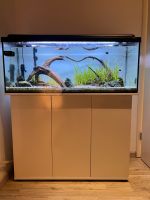 Komplett Aquarium 160L Niedersachsen - Börßum Vorschau