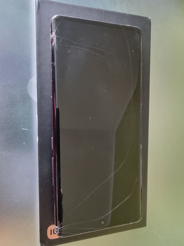 Xiaomi 12 Pro - 256GB - Dual - Grau - Defekt - Glasschäden in Nürnberg (Mittelfr)