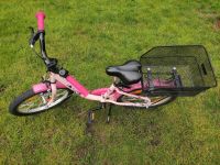 Kinderfahrrad 18Zoll zu verkaufen Kreis Ostholstein - Eutin Vorschau