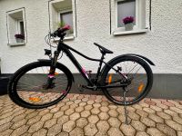 Mountainbike Cube 27,5 Zoll Köln - Porz Vorschau