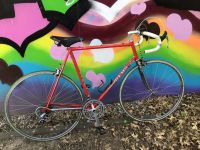 Olmo Vintage Rennrad mit Shimano 105 Gruppe Rahmenhöhe 58cm Hessen - Darmstadt Vorschau