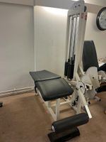 M.R. Systems Lying leg curl/ Liegen beincurler Nordrhein-Westfalen - Bocholt Vorschau