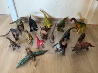 Großes Schleich Dinosaurier Set Hansestadt Demmin - Neukalen Vorschau