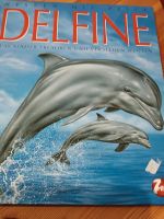 Buch über Delphine Dithmarschen - Wöhrden Vorschau