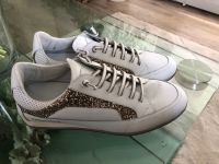 Candice Cooper Leder Sneaker in weiss Gr. 40 Neu Nordrhein-Westfalen - Lennestadt Vorschau