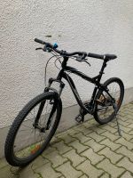 Jugend Mountainbike Specialized Baden-Württemberg - Konstanz Vorschau