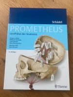 Prometheus Lernpaket Schädel Frankfurt am Main - Westend Vorschau