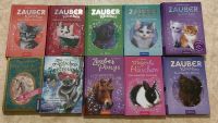 Bücher Zauberkätzchen, Magische Tierfreunde Bayern - Falkenberg Oberpf Vorschau