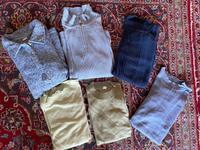 Collection L Damen Pullis Strick Pullover Rollkragen Kragen 50 Hessen - Michelstadt Vorschau