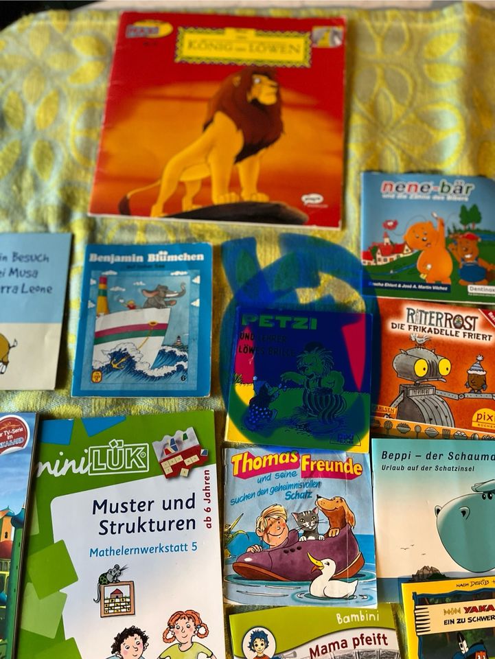 Buch Kinderbuch Pixi Lük Tiptoi in Salzweg