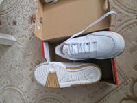 Nike Schuhe   42 Nummer  (Neu) Hessen - Lollar Vorschau
