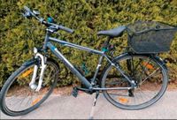 Pegasus Piazza 28 Zoll Herren Fahrrad neuwertig Baden-Württemberg - Immendingen Vorschau