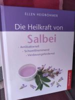 Die Heilkraft von Salbei, antibakteriell schweißlindernd Verdauun Bayern - Treuchtlingen Vorschau