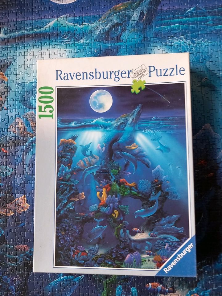 1500 Teile Puzzle, Versteinerter Delfin, Versand möglich in Gilching