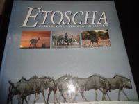 Bildband Etoscha Nationalpark in Namibia Hessen - Hattersheim am Main Vorschau