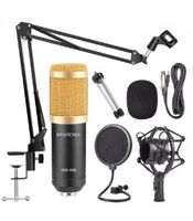 BM-800 Pro Kondensator Mikrofon Kit Komplett Set Studio Aufnahme Hessen - Bebra Vorschau