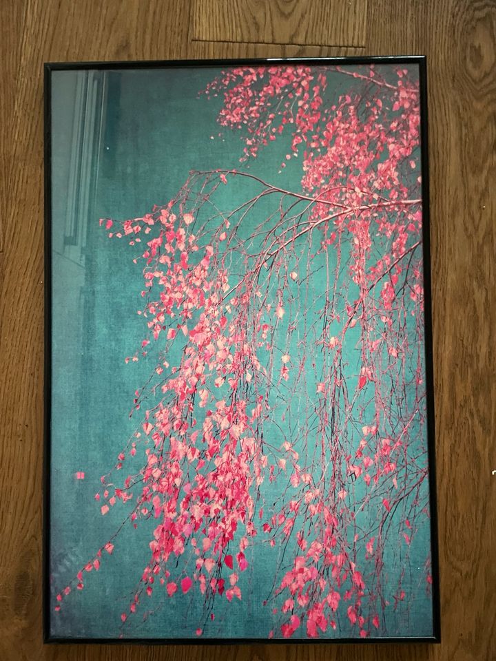 Gerahmter Kunstdruck rosa Baum, 40x60, juniqe in Korntal-Münchingen