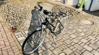 KTM Fahrrad für Damen Rheinland-Pfalz - Westhofen Vorschau