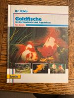 Goldfische in Gartenteich und Aquarium München - Bogenhausen Vorschau