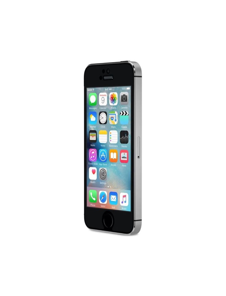 iPhone 5s 16GB Spacegrau + Schutzhülle in Thale