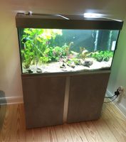 Eheim Proxima 250 Aquarienkombination Altona - Hamburg Bahrenfeld Vorschau