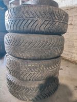 4x 195 65 R15 91H Allwetterreifen-goodyear+Stahlfelgen Nordrhein-Westfalen - Detmold Vorschau