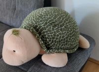 Nici Riesen -Schildkröte Dortmund - Innenstadt-West Vorschau