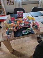 Polly Pocket Sammlung Nordrhein-Westfalen - Wermelskirchen Vorschau